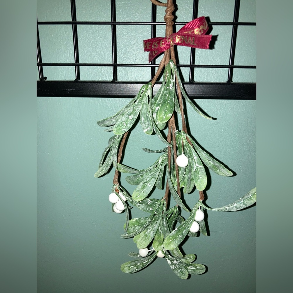 Frosted Mistletoe